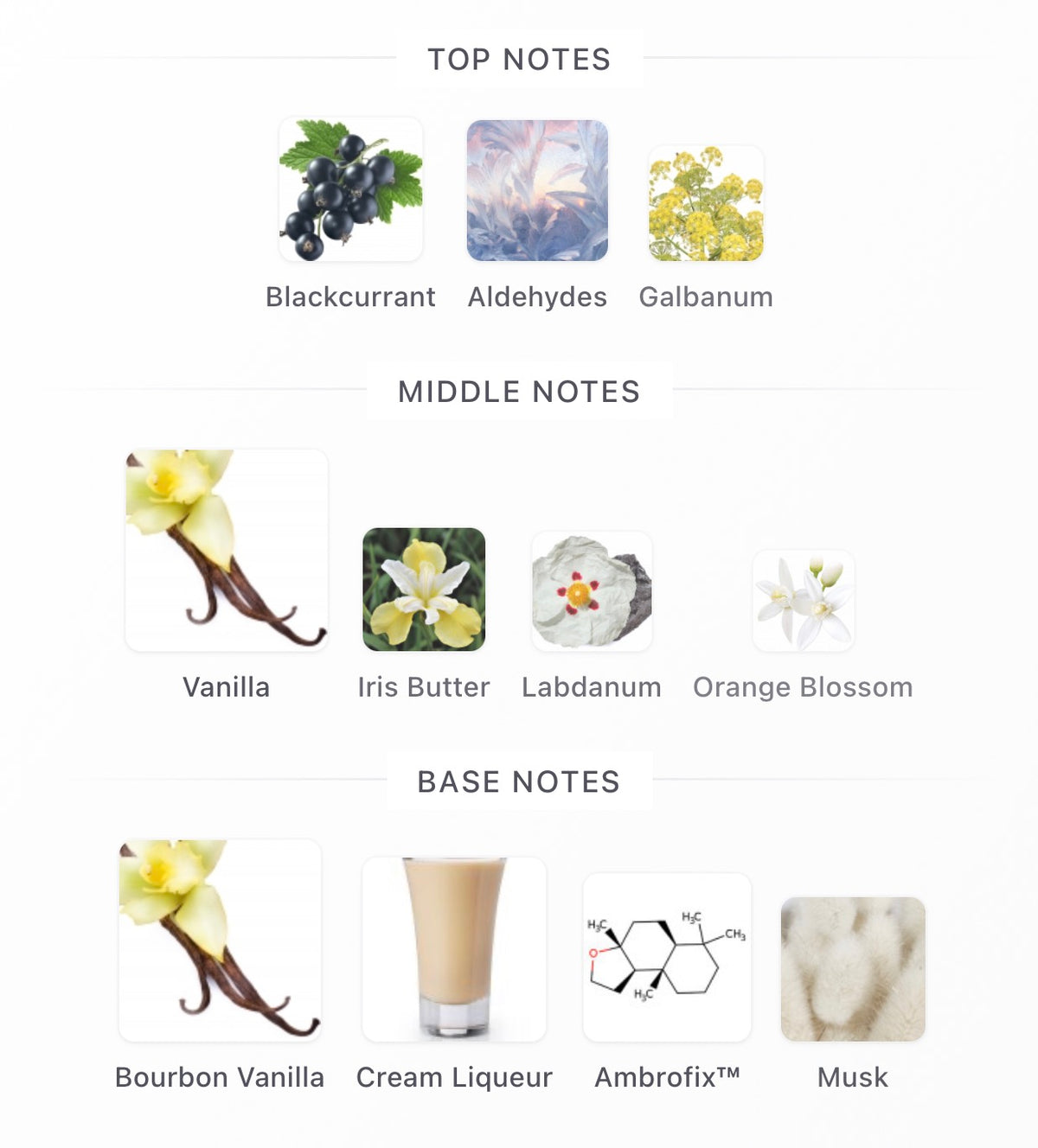 Byredo Future Memories (sample)