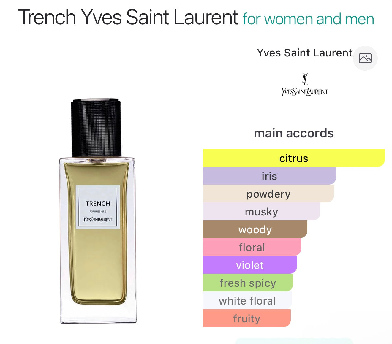 YSL Trench (sample)