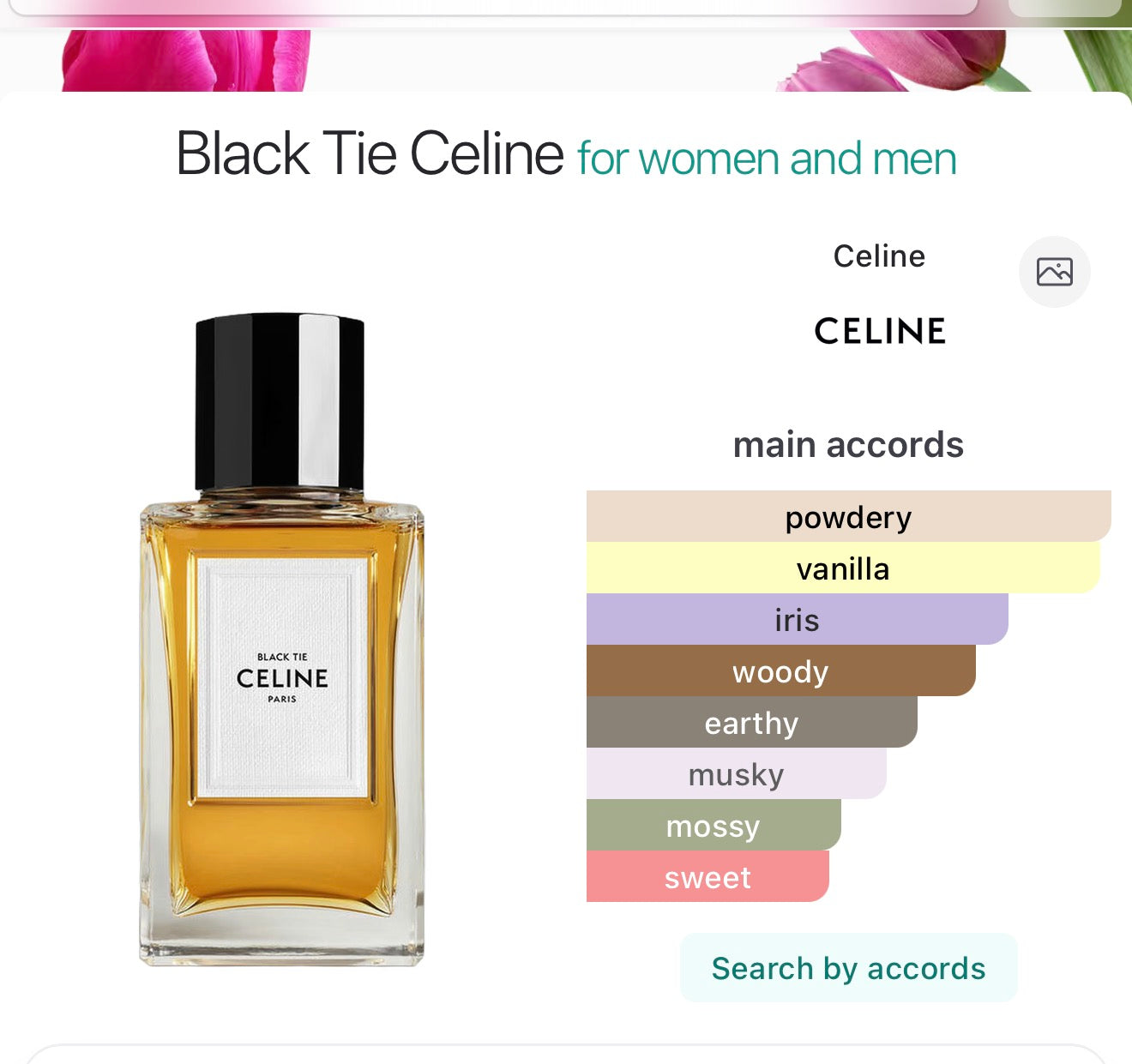 Celine Black Tie (samples)