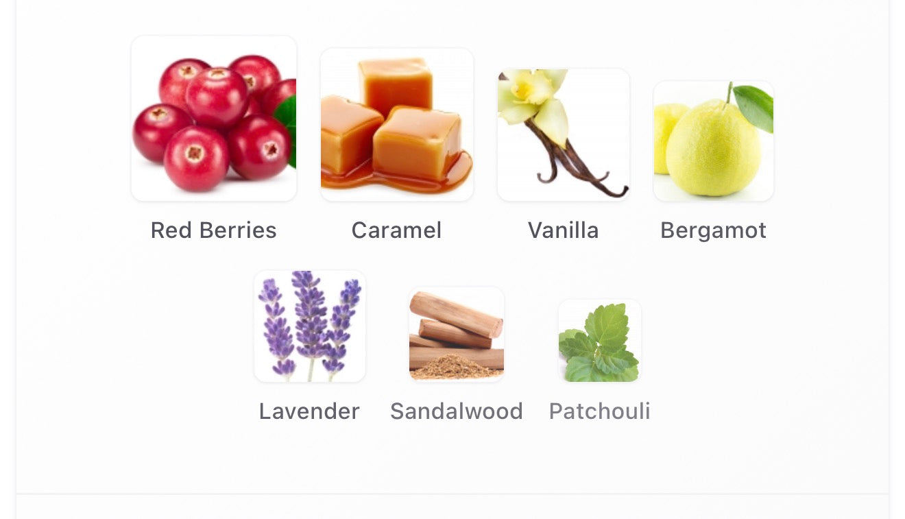 *NEW* Initio Wild Rush (sample)