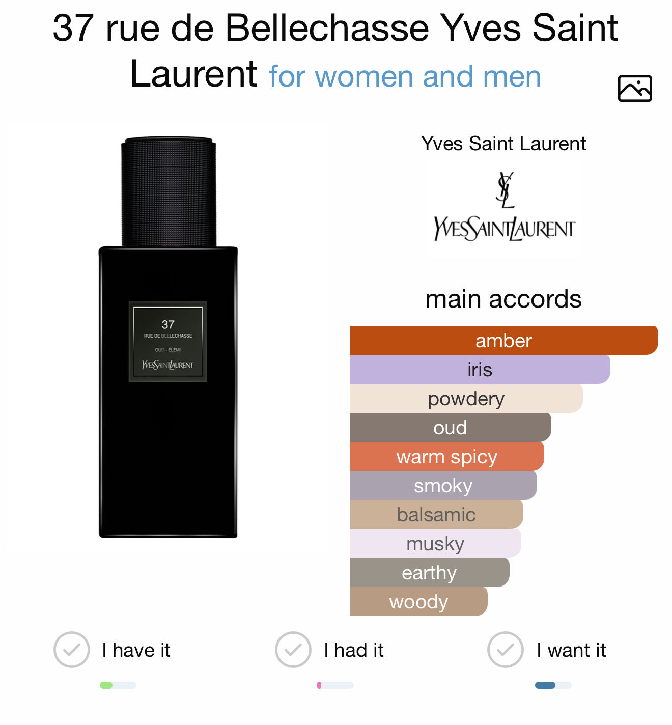 YSL 37 (sample)